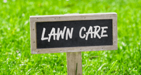 Spring Care For Your Lawn – Enjoy Greener Grass