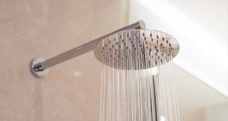 rainfall shower head