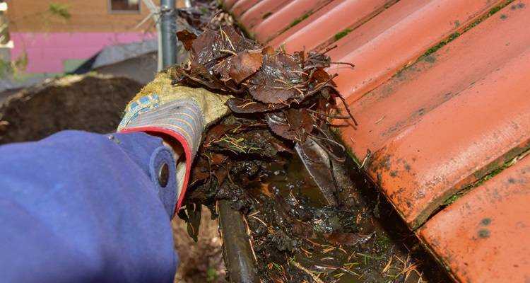 gutter cleaning