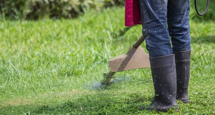 garden upkeep