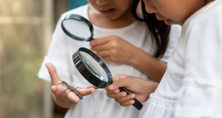 two girls looking at a bug