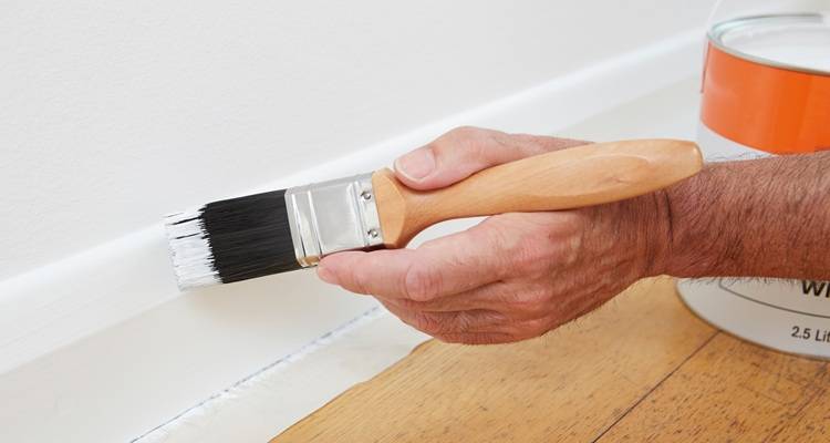 pant brush and skirting boards