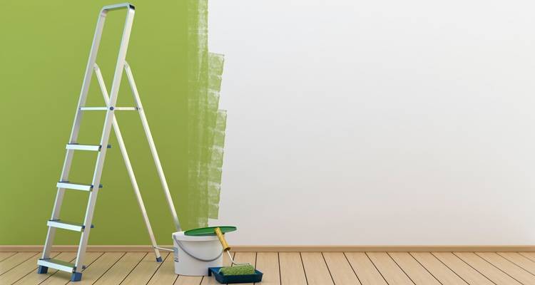 green painted wall and ladder