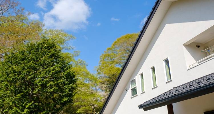 white eaves