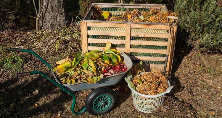 compost heap