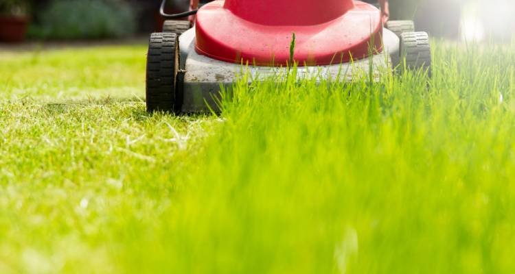Grass Cutting Services Near Me | Find a Grass Cutter