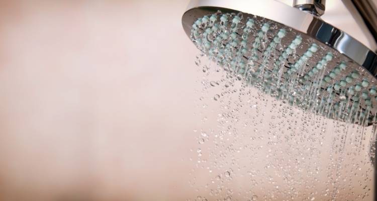 shower head