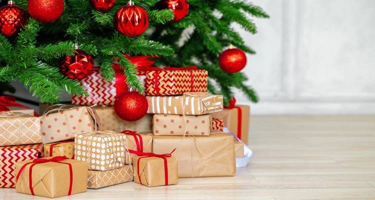 Christmas security hide valuables