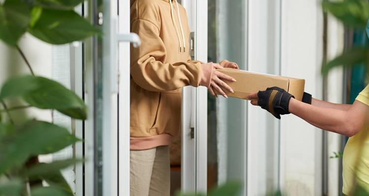 Christmas security protect deliveries