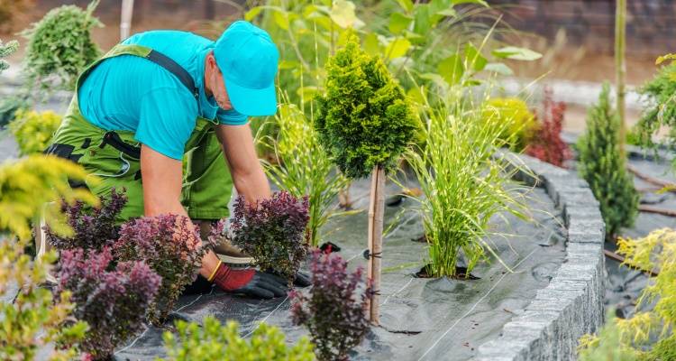 How Much Do Gardeners Make?