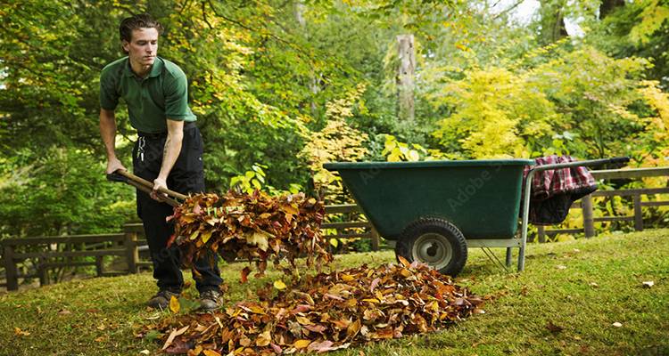 gardener