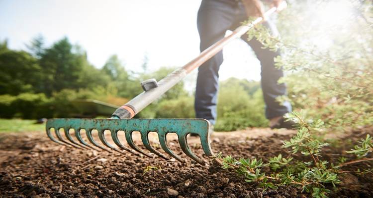 person raking