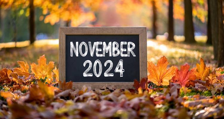 November 2024 sign