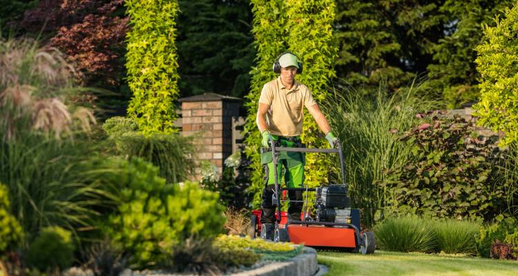 gardener mowing lawn