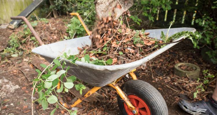 wheelbarrow filled with garden waste