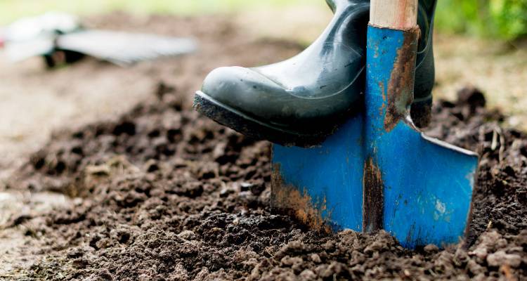 gardener with a spade