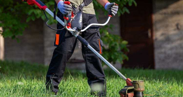 landscaper who is strimming grass in a garden