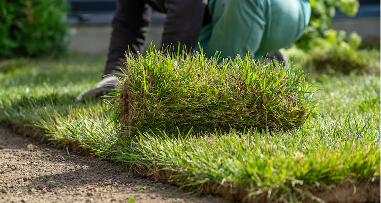 small area of garden turf being replaced