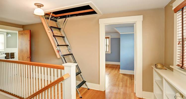 loft ladder