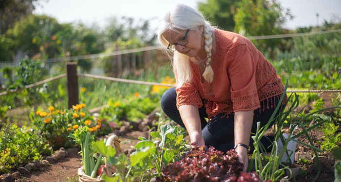 Longest Waiting Lists for an Allotment in UK