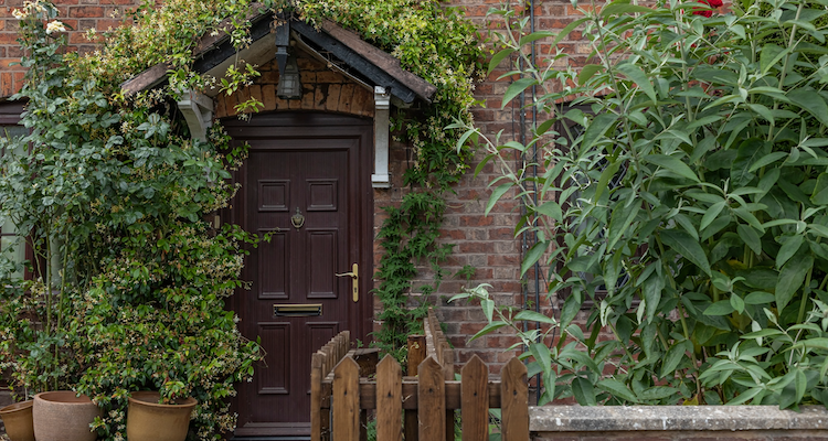 dark brown uPVC front door in the UK