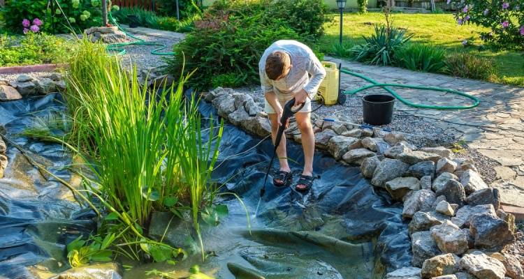 pond maintenance