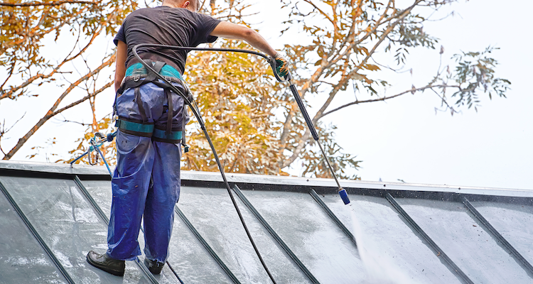 tradesperson cleaning and treating a roof