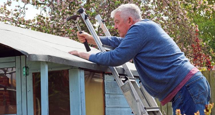 shed roof needing repair