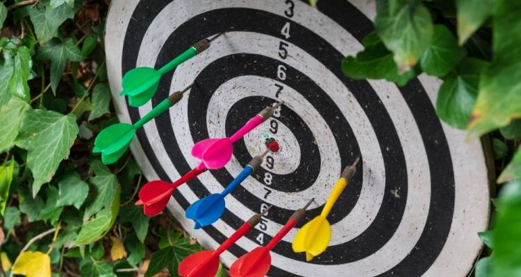 garden dart board