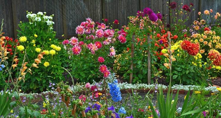 pretty flower beds