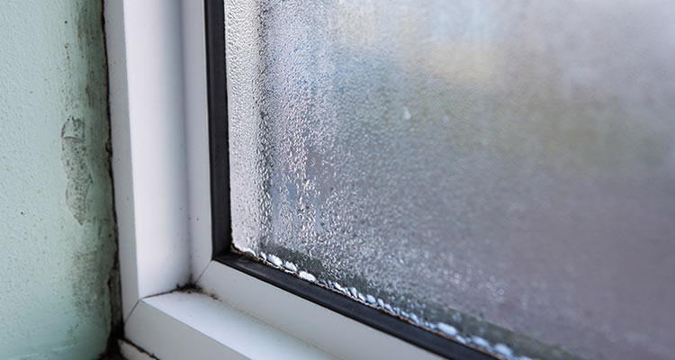 Double Pane Windows Repair: Replacement and Cost