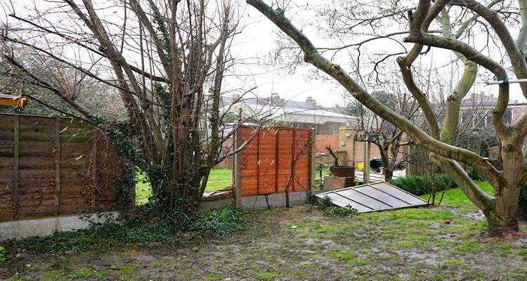 blown down fencing