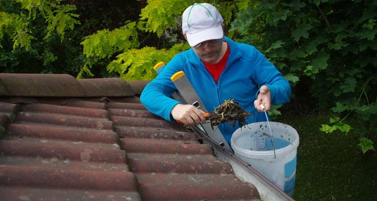 man cleaning gutters